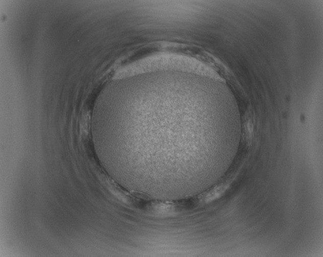 X0000081290325200702012250