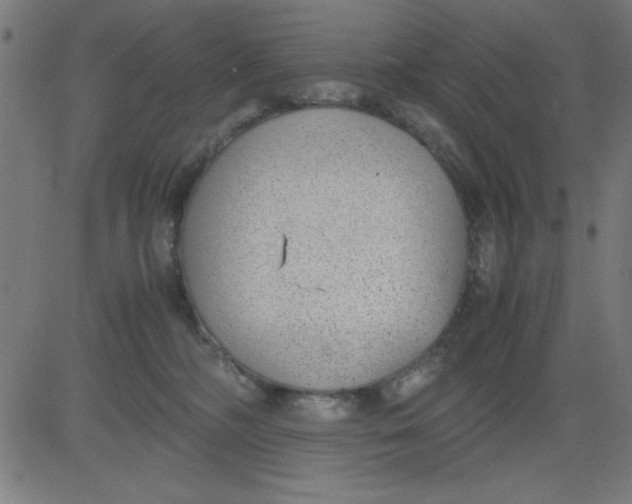 X0000081290326200702012250