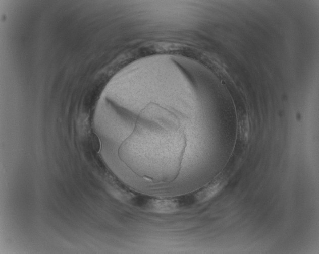 X0000081290327200702012250