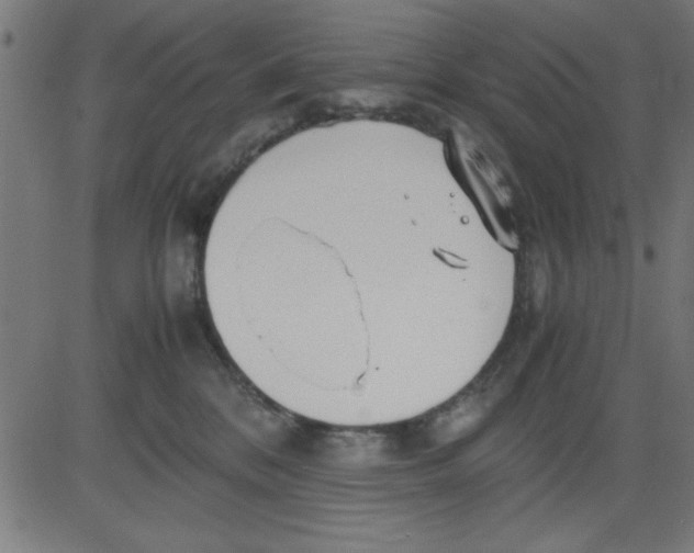 X0000081290328200702012250