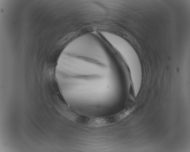 X0000081290329200702012250