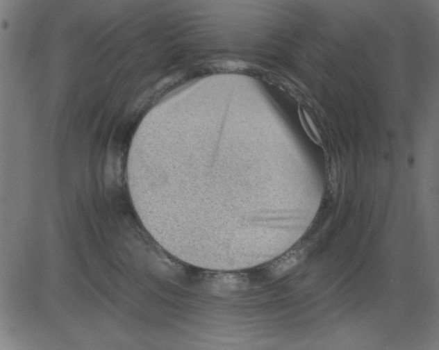 X0000081290330200702012250