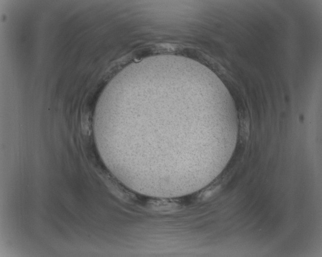 X0000081290331200702012250