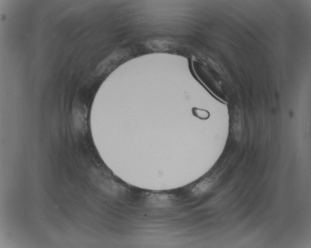 X0000081290332200702012250