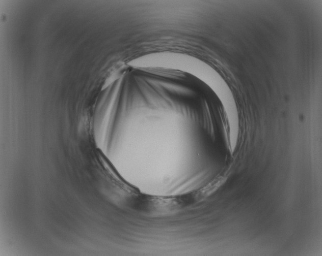 X0000081290333200702012250