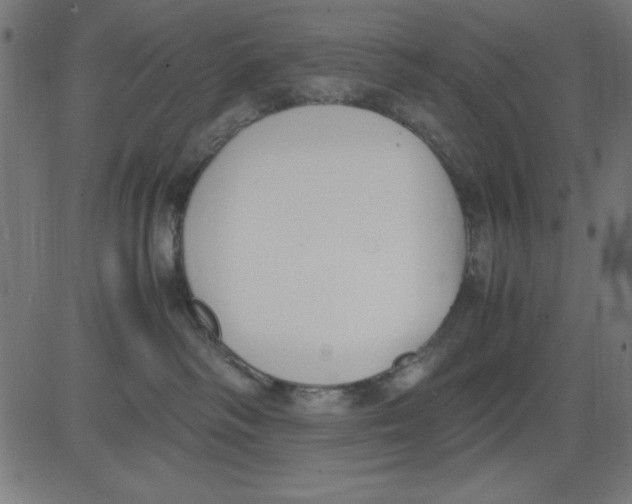 X0000081290334200702012250