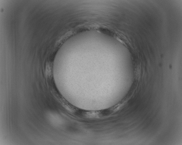 X0000081290335200702012250