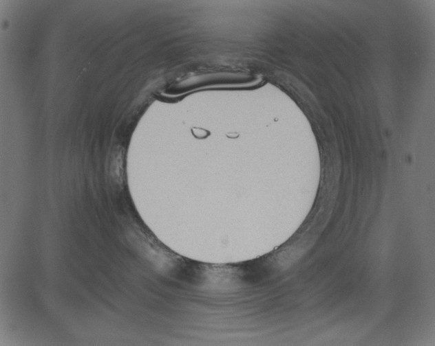 X0000081290336200702012250