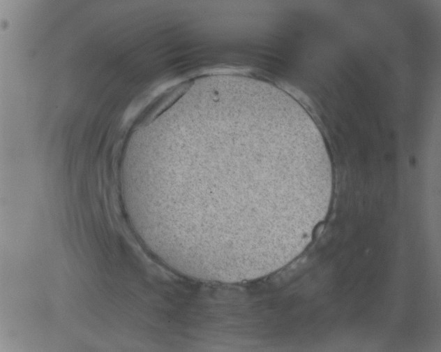 X0000081290337200702012249