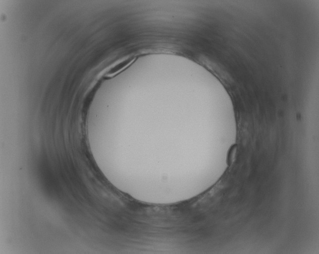 X0000081290338200702012250