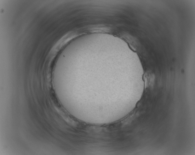 X0000081290339200702012250