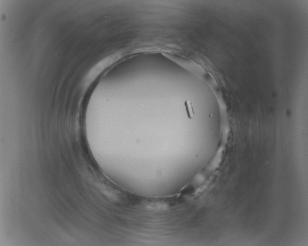 X0000081290340200702012250