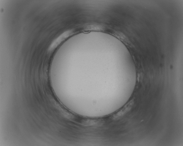 X0000081290341200702012250