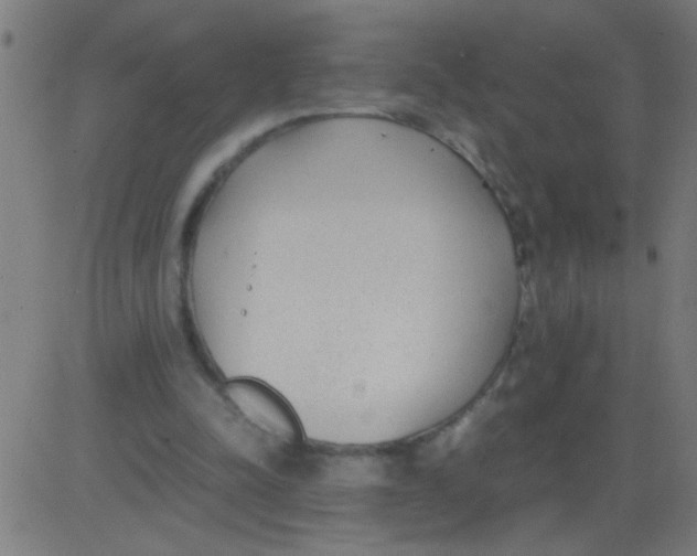 X0000081290342200702012250