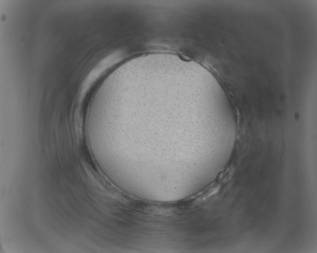 X0000081290343200702012250