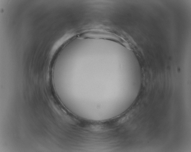 X0000081290344200702012250