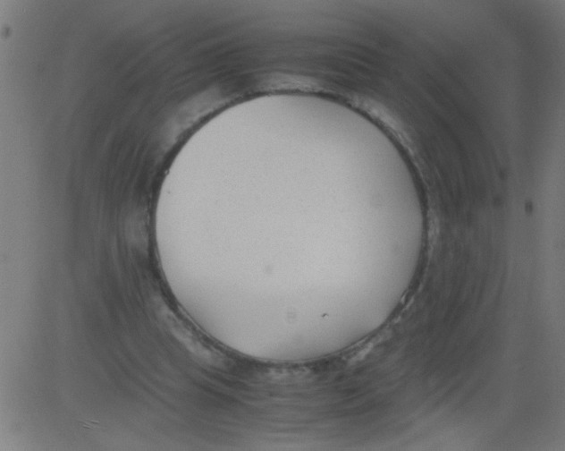 X0000081290345200702012250