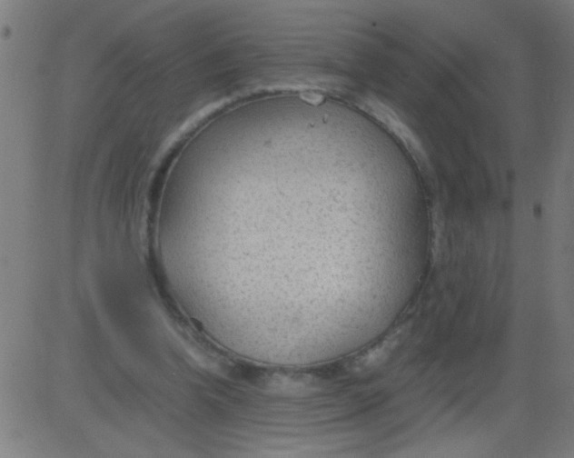 X0000081290346200702012250