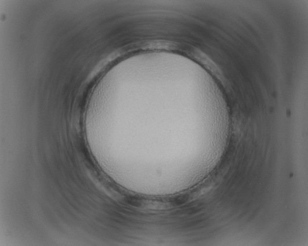 X0000081290347200702012250