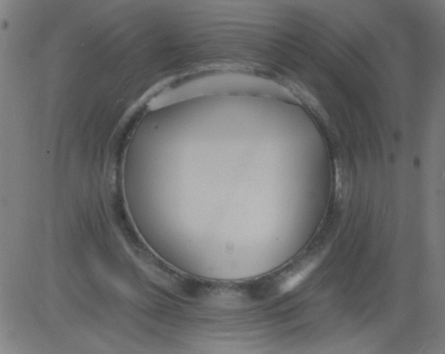 X0000081290348200702012250