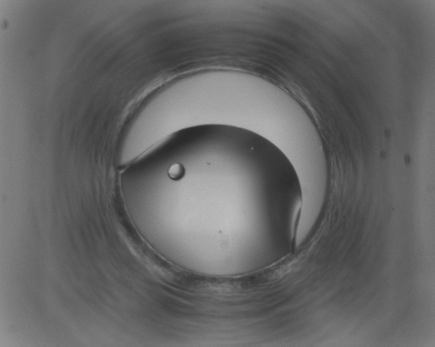 X0000081290349200702012250