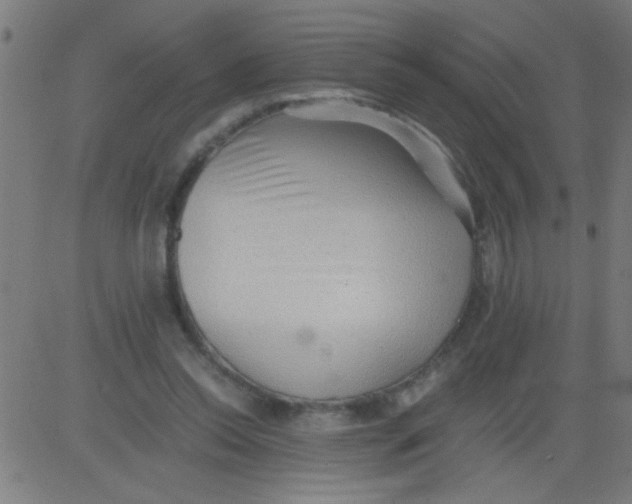 X0000081290350200702012250