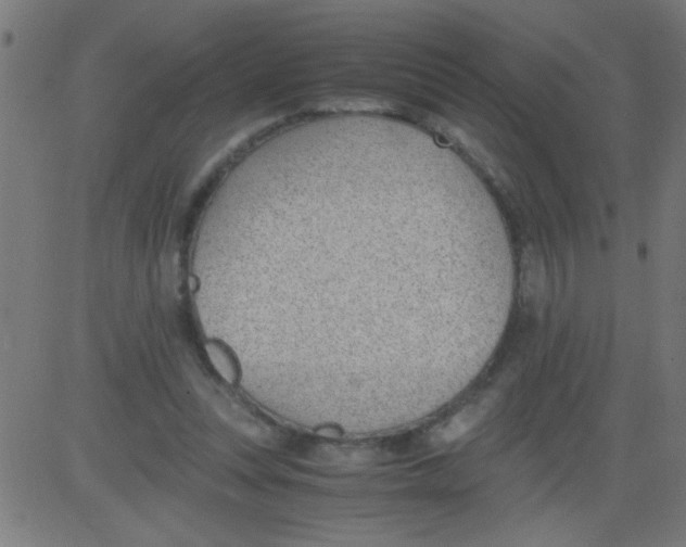 X0000081290351200702012250