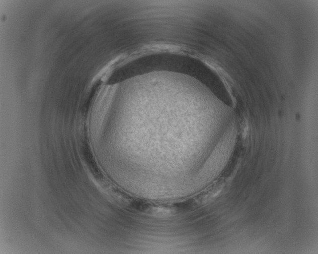 X0000081290352200702012250