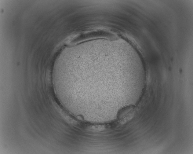 X0000081290353200702012250