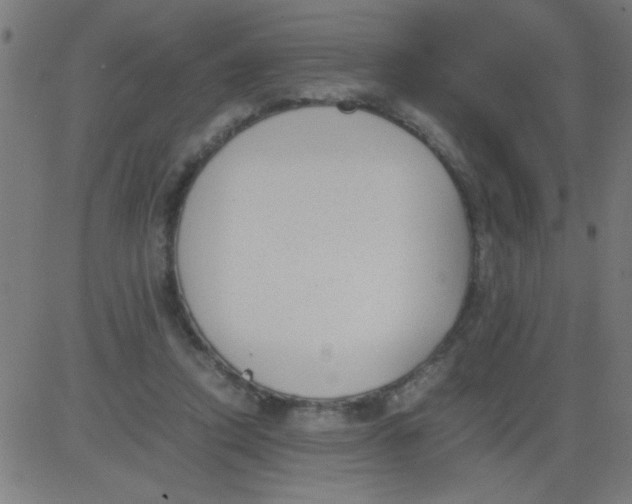 X0000081290354200702012250