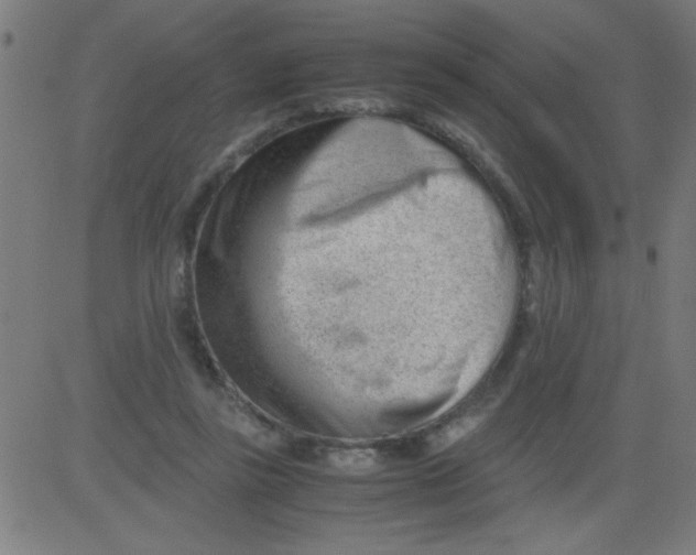 X0000081290355200702012250