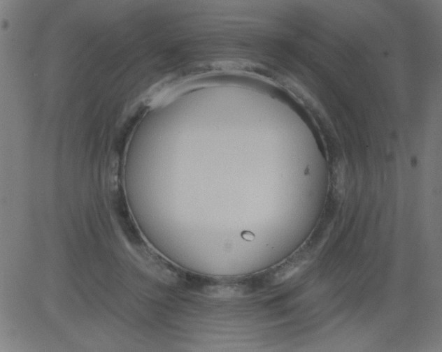 X0000081290356200702012250