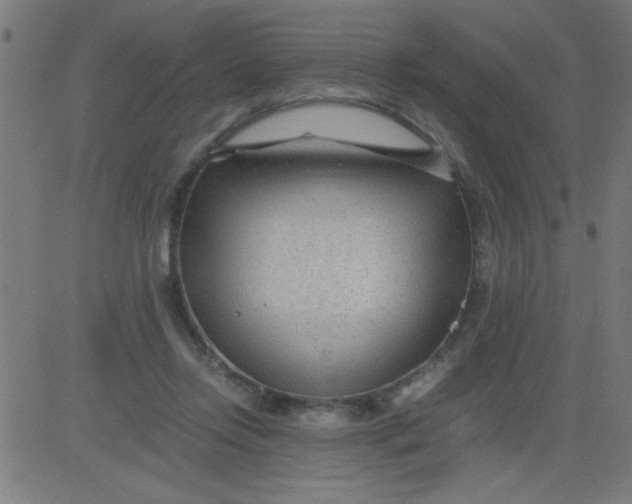 X0000081290358200702012250