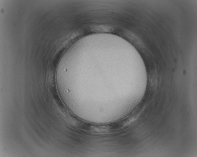 X0000081290359200702012250