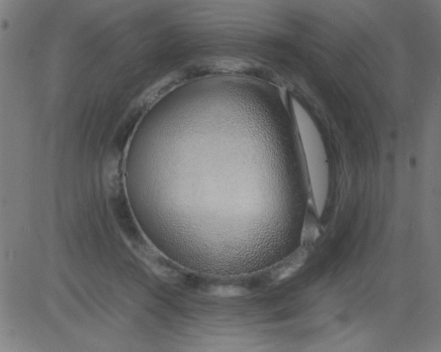 X0000081290360200702012250