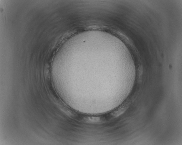 X0000081290361200702012250