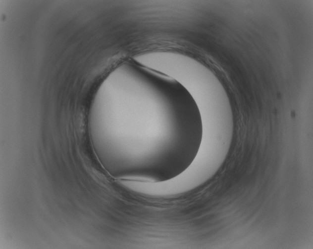 X0000081290362200702012250