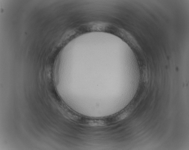 X0000081290363200702012250