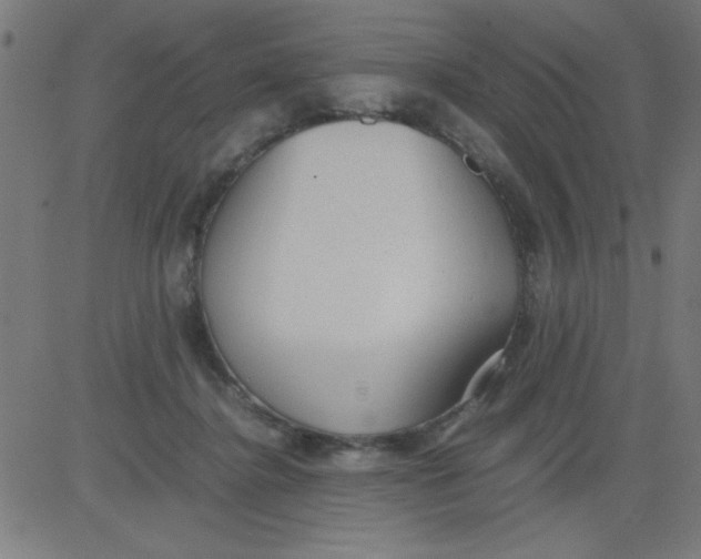 X0000081290364200702012250