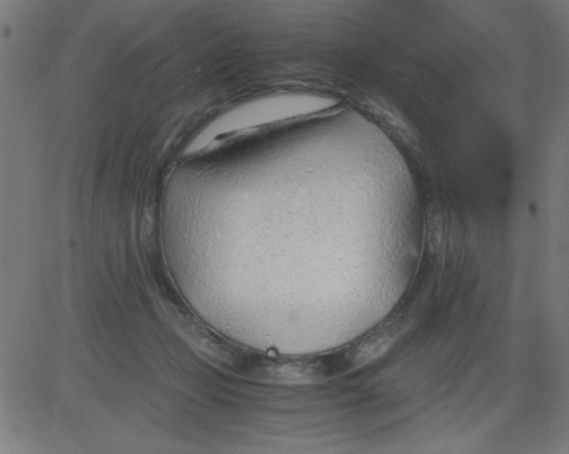 X0000081290365200702012250