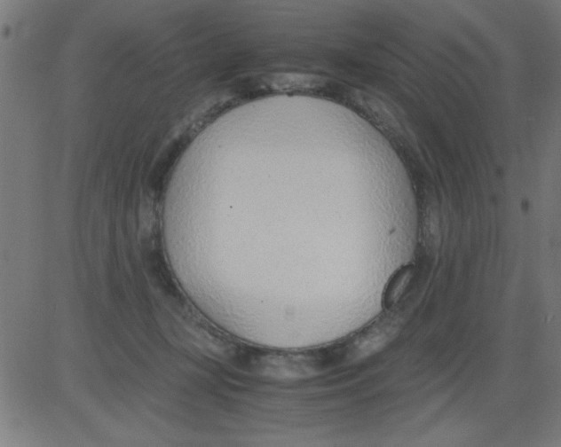 X0000081290367200702012250