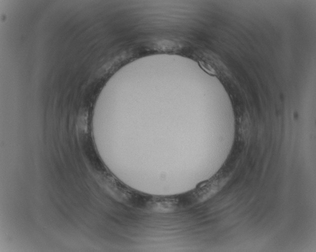 X0000081290368200702012250