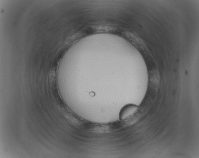 X0000081290369200702012250