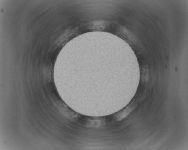 X0000081290370200702012250