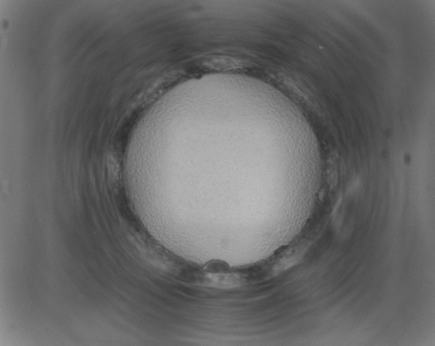 X0000081290371200702012250