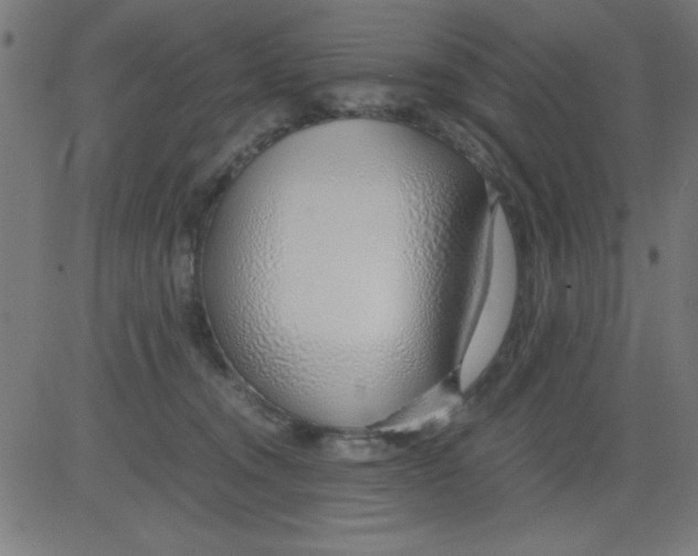 X0000081290372200702012250