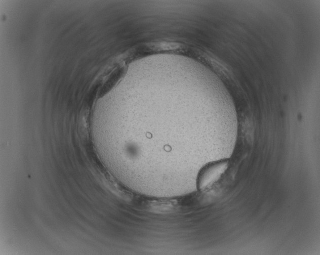 X0000081290373200702012250