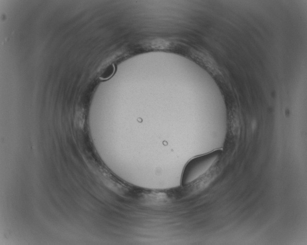 X0000081290374200702012250