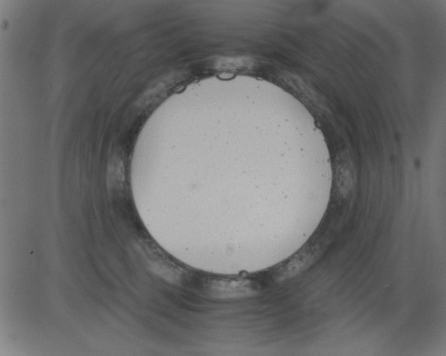 X0000081290375200702012250