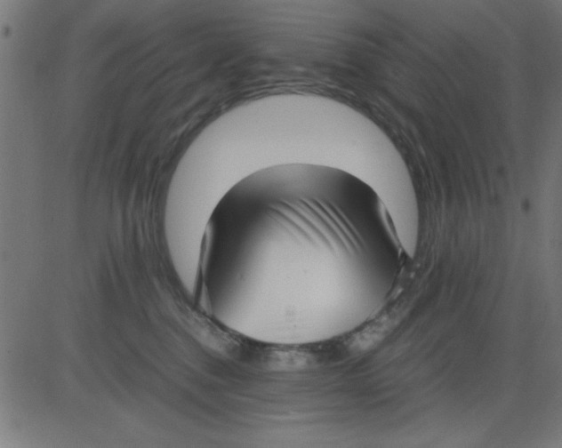 X0000081290376200702012250